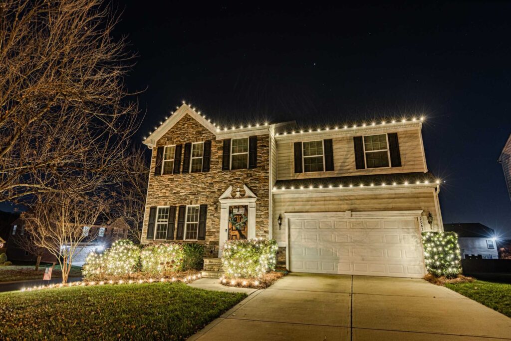 professional christmas light service