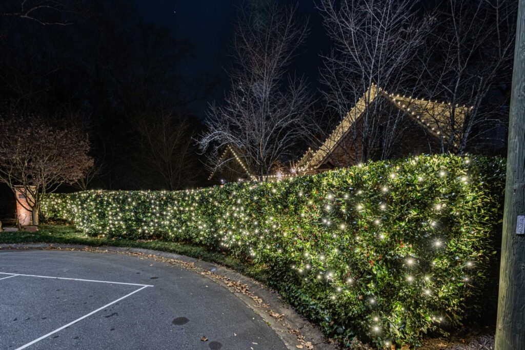 woodstock christmas light installer